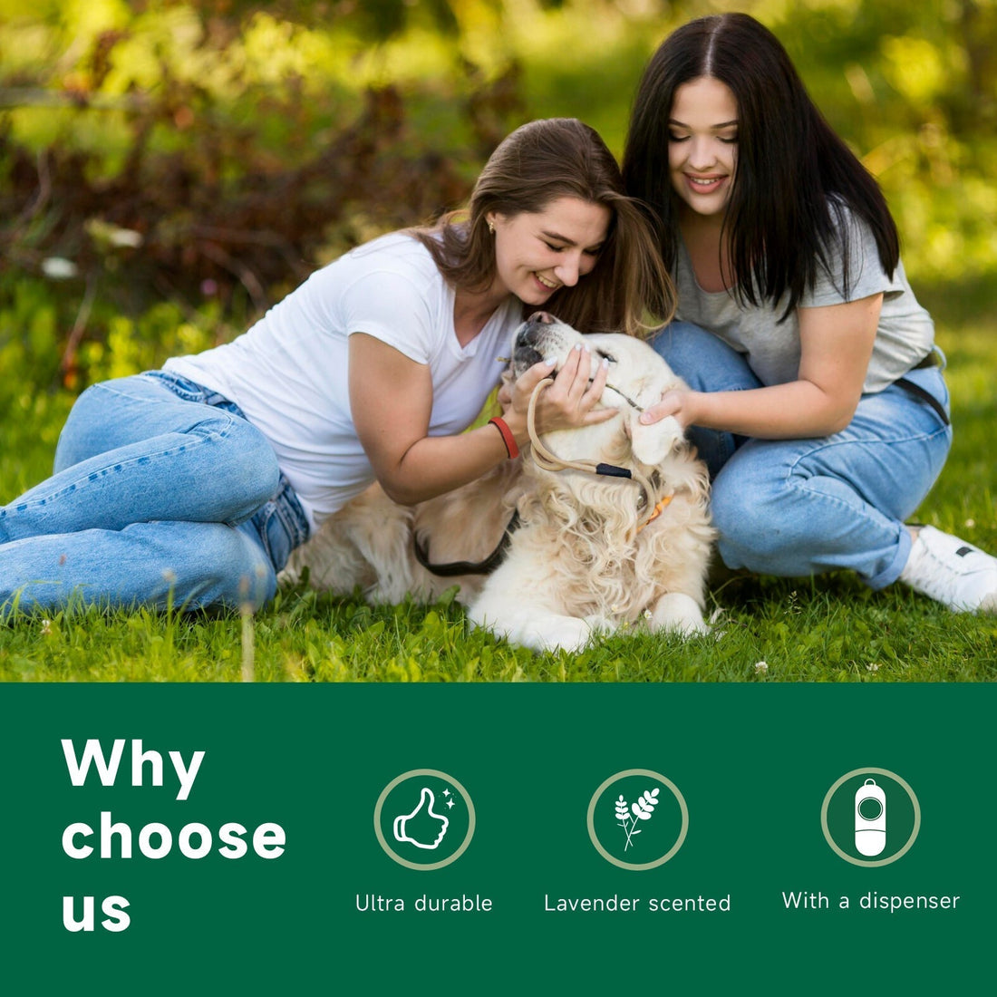 The Ultimate Guide to Hassle-Free, Eco-Friendly Dog Waste Cleanup